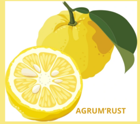 AGRUM'RUST